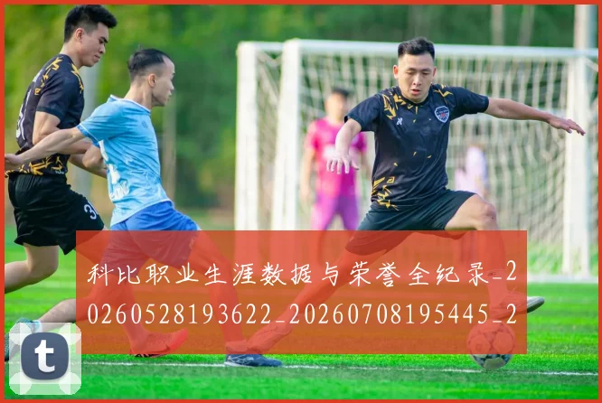 科比职业生涯数据与荣誉全纪录_20260528193622_20260708195445_20260802165742